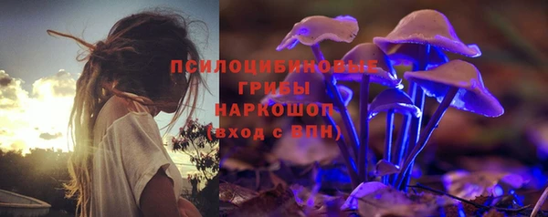 а пвп мука Вяземский