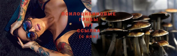 а пвп мука Вяземский