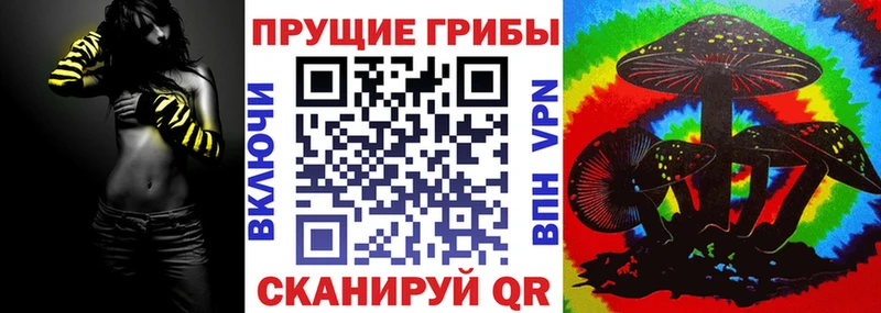 Псилоцибиновые грибы Cubensis Пестово